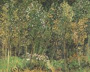 Vincent Van Gogh The Grove (nn04) Sweden oil painting artist